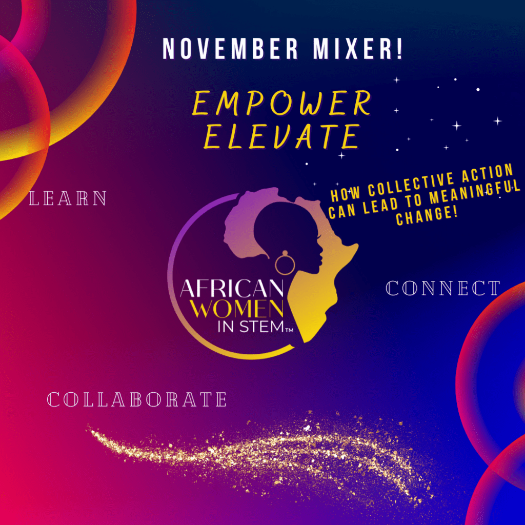 AfricanWomenSTEMMIXER